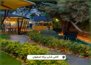 بركة