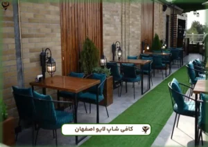 لایو