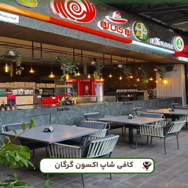 اکسون