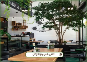 بنزا ش